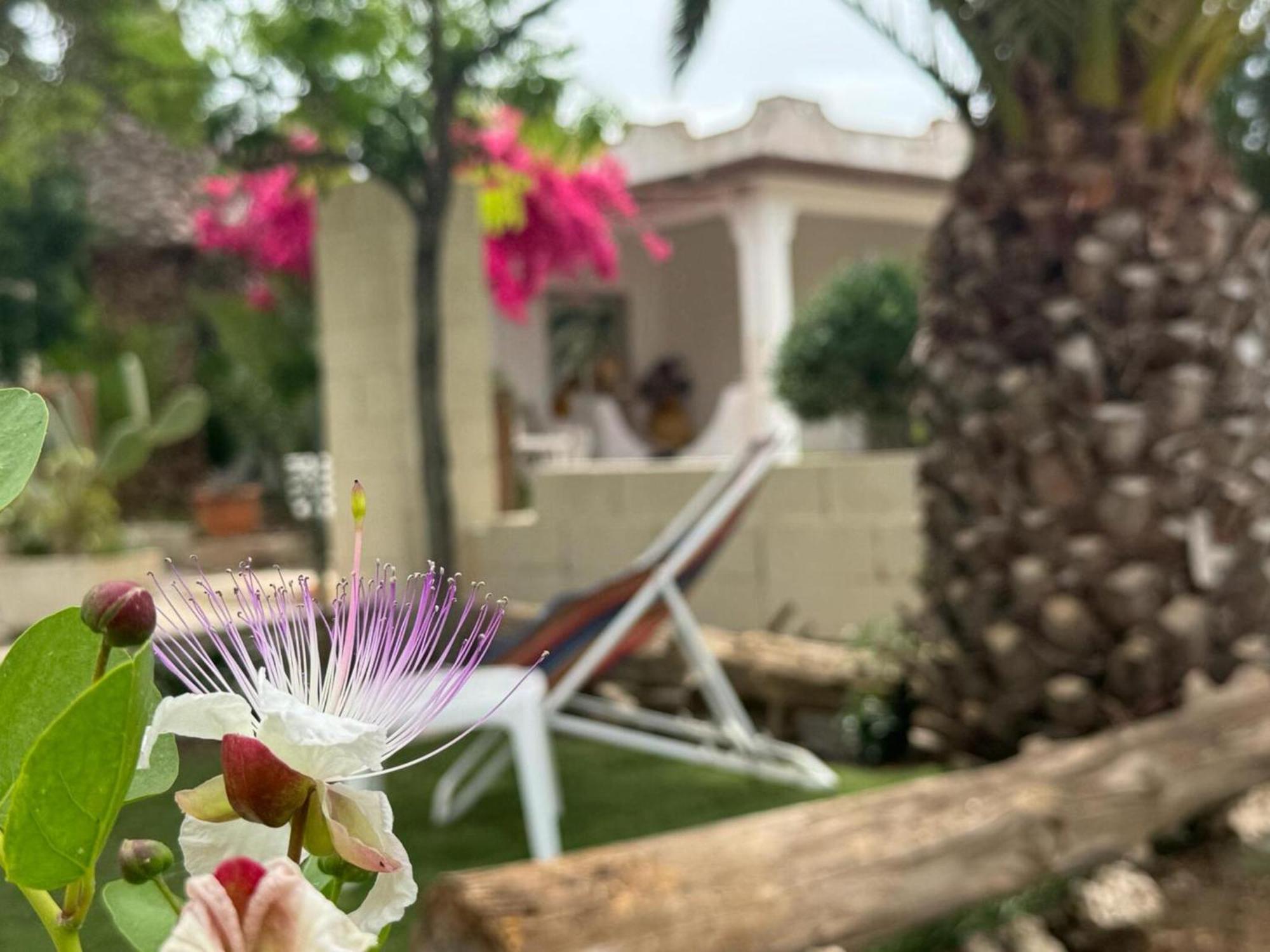 Villa Torretta - Mare Salento Marina di Lizzano Kültér fotó
