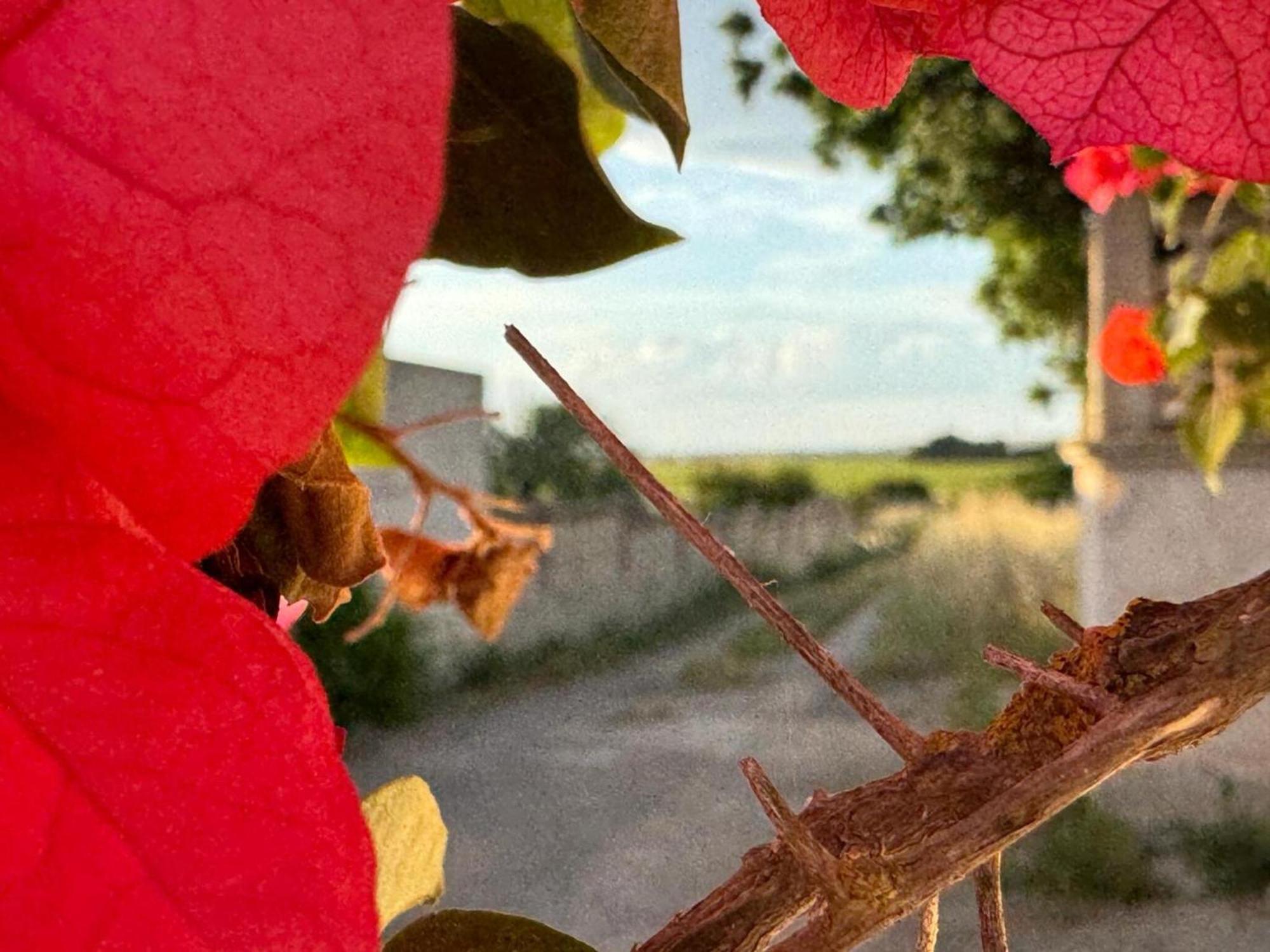 Villa Torretta - Mare Salento Marina di Lizzano Kültér fotó